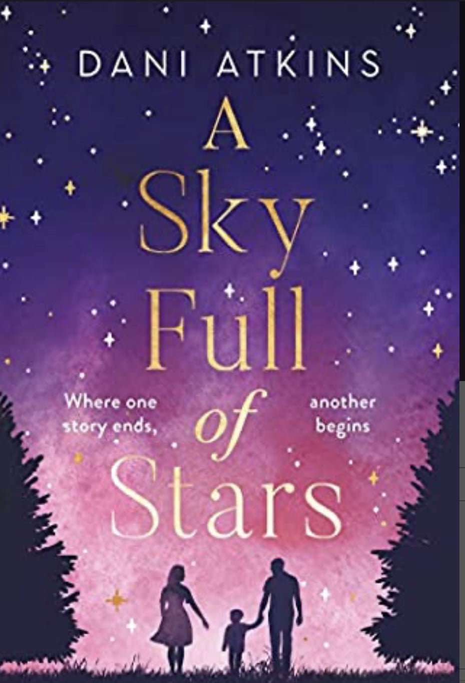 A SKY FULL OF STARS BY DANI ATKINS – BOOK REVIEW