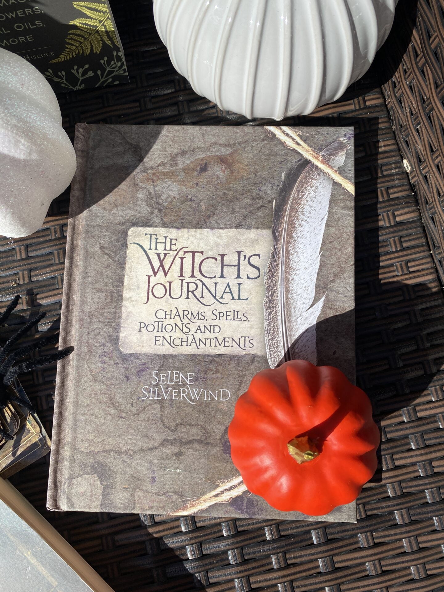 THE WITCH’S JOURNAL BY SELENE SILVERWIND – REVIEW
