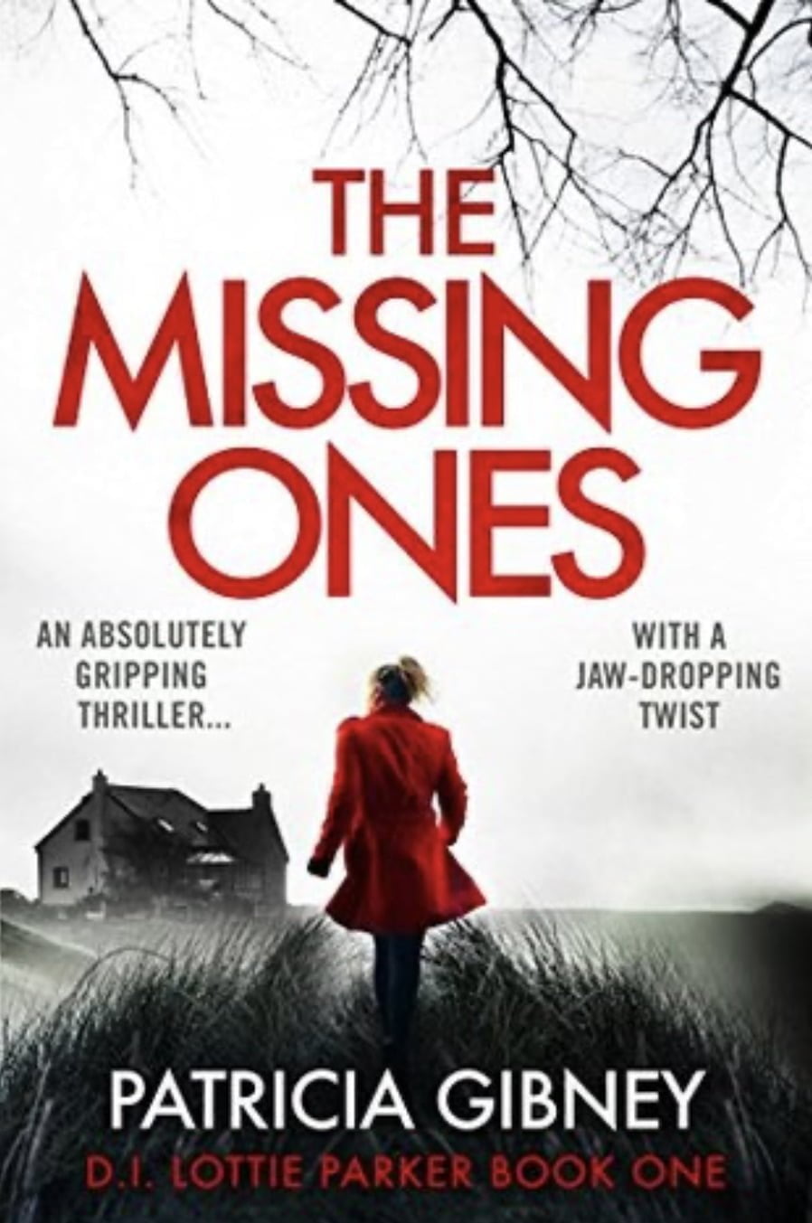 THE MISSING ONES BY PATRICIA GIBNEY – BOOK REVIEW