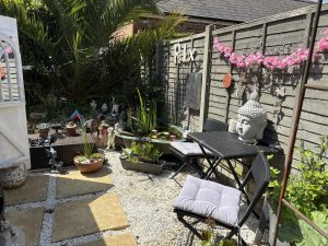 CHELSEA FLOWER SHOW & MY GARDEN